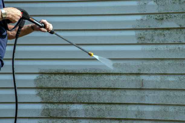 Best House Exterior Washing  in Bnchard, LA